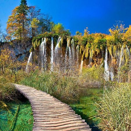 Andrea In Sertic Poljana - Haus Fuer 6 Personen Plitvička Jezera エクステリア 写真